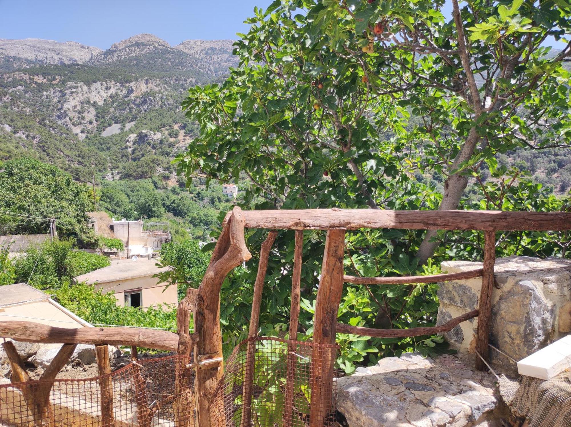 Kato Simi Kato Symi House 빌라 외부 사진